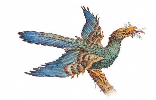 Archaeopteryx