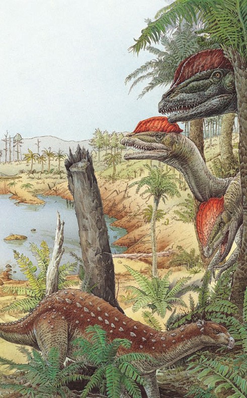A pack of Dilophosaurus stalk a Scelidosaurus