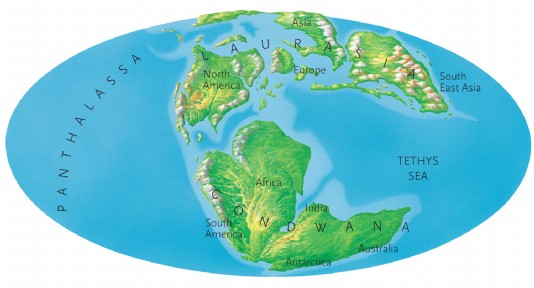The world in Jurassic times