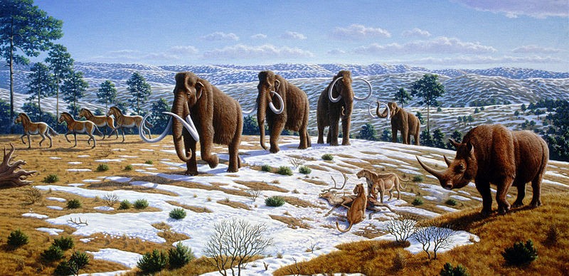 Woolly mammoths and other Ice Age animals