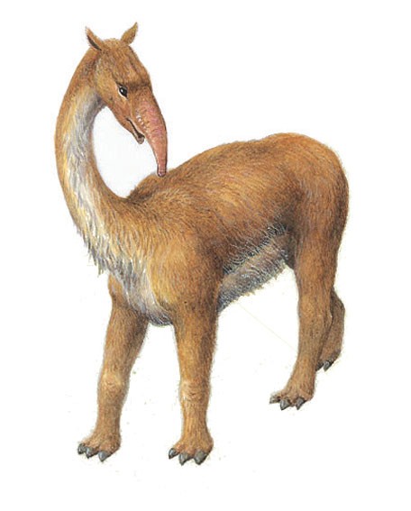 Macrauchenia