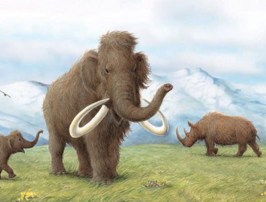 Woolly mammoth and woolly rhinoceros
