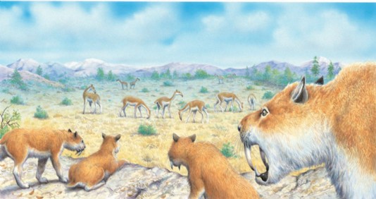 A pack of Smilodon stalk a Macrauchenia herd