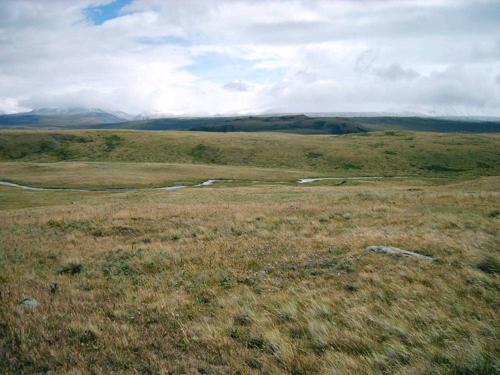 Mammoth steppe on the Ukok Plateau, Siberia