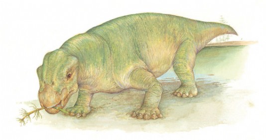 Lystrosaurus