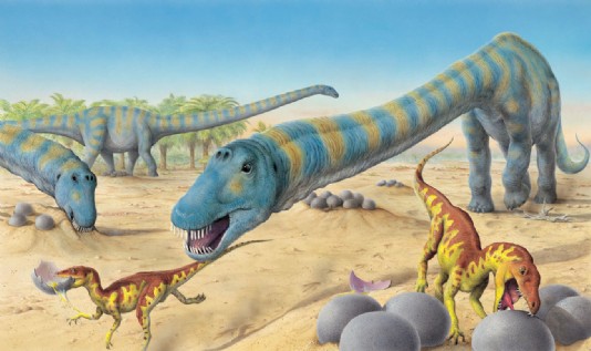 A nesting colony of Mamenchisaurus