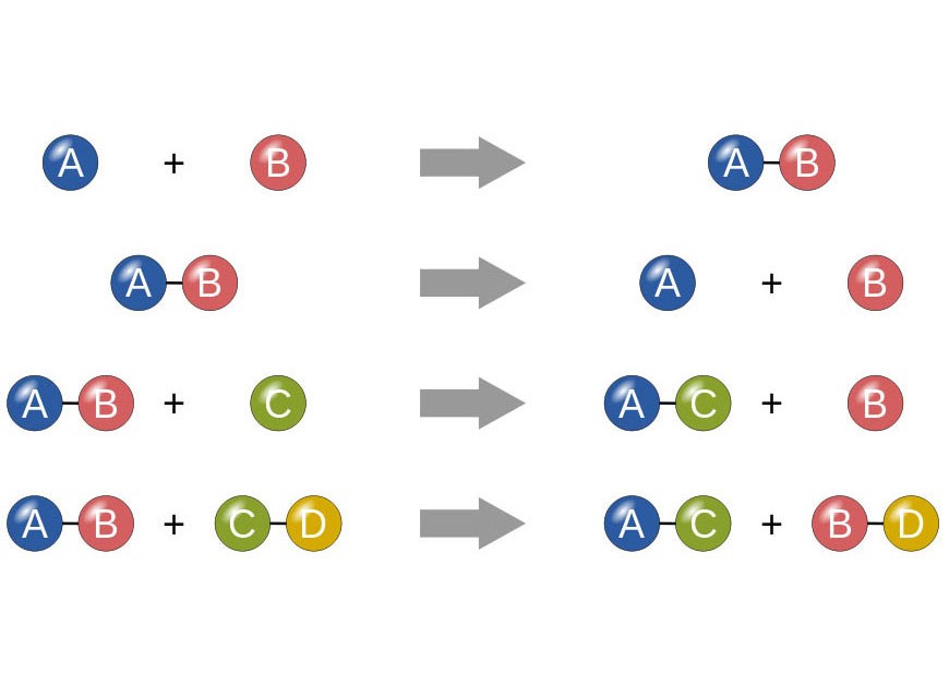 Different types of reaction