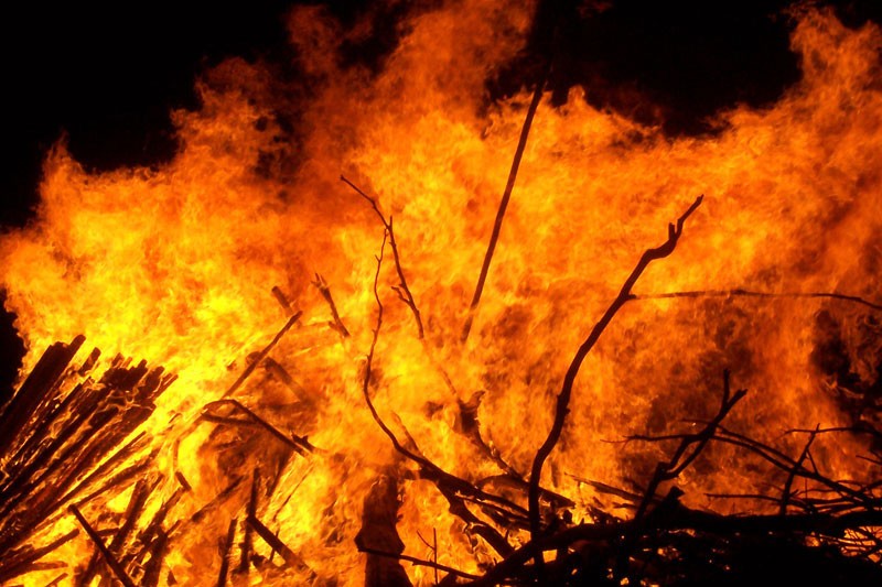 Burning wood, an exothermic reaction