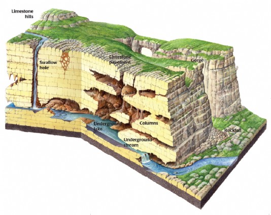 Limestone cave system