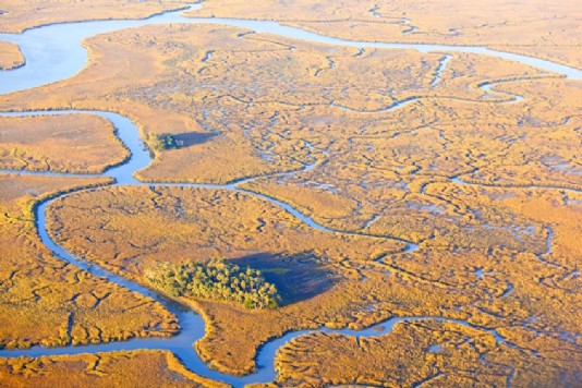 An aerial view of a salt marsh