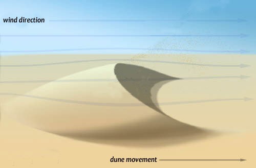 How a barchan dune forms