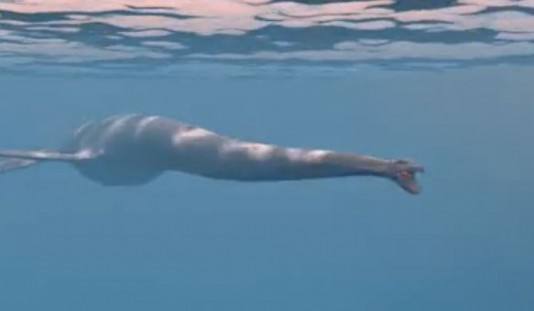 Animation of Plesiosaurus swimming
