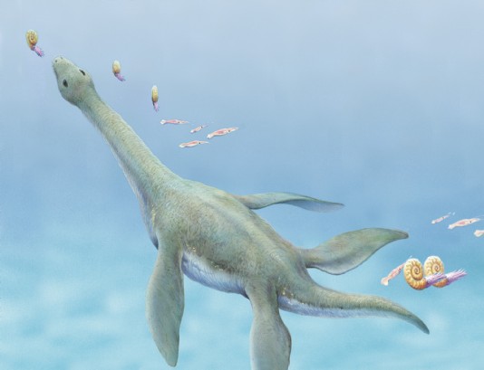 Plesiosaurus