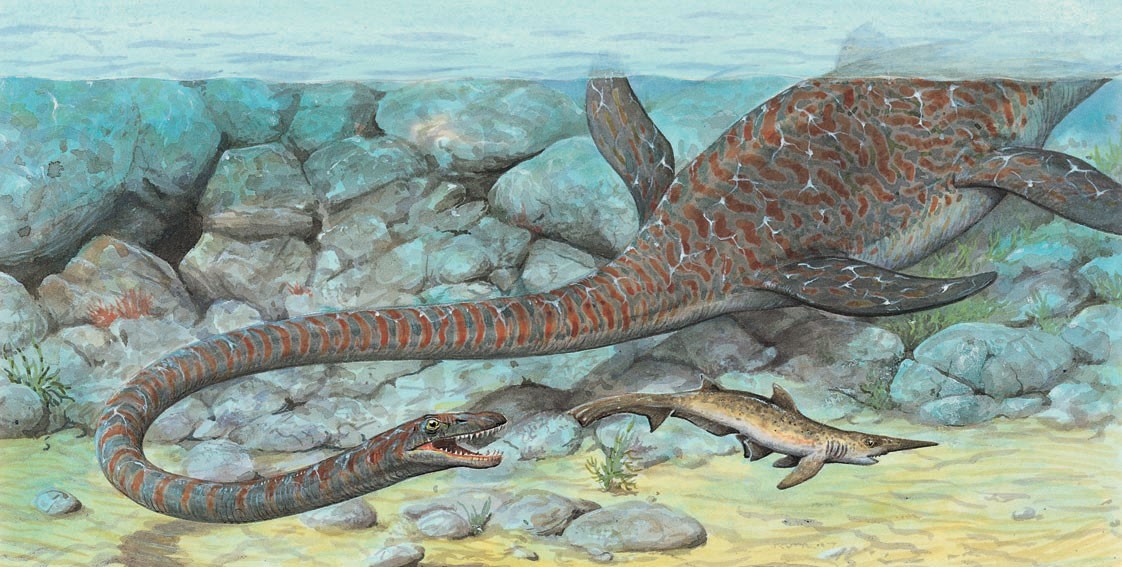 Elasmosaurus hunting its prey underwater