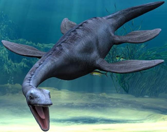 Plesiosaur with jaws agape