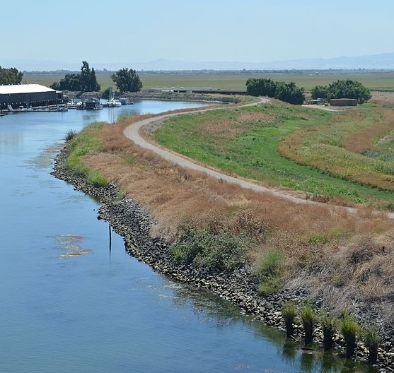 A levee in California’s Sacramento-San Joaquin Delta