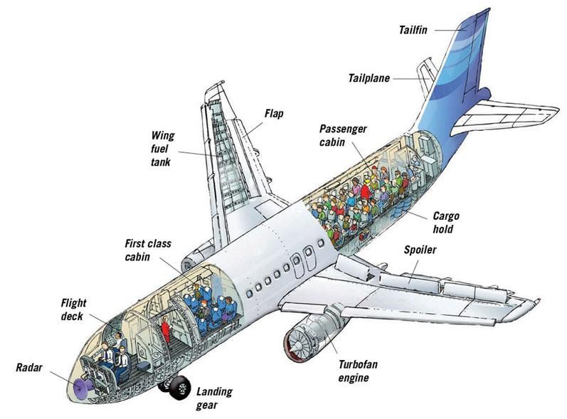 A cutaway illustration of an airliner