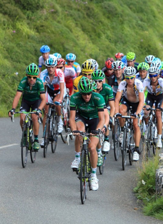 The peloton climbs a mountain pass