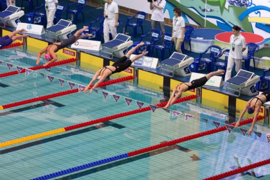 Swimmers dive into the pool at the start of a race.