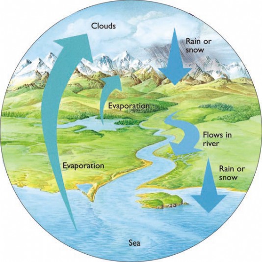 The water cycle