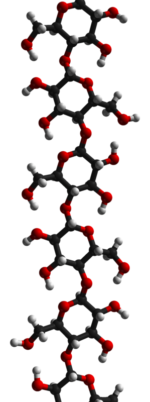 A molecule of cellulose, a kind of dietary fibre