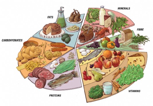 Foods that are rich in certain nutrients