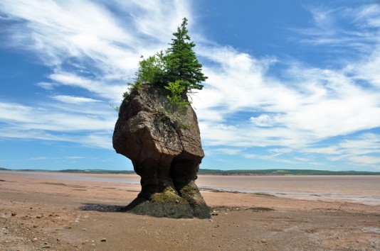 A rocky islet at low tide, Bay of Fundy