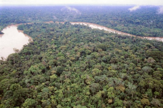 Aerial view of the Amazon rainforest