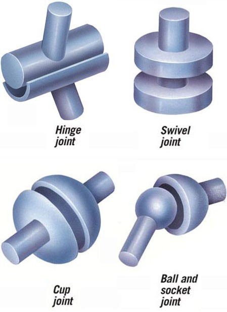 Four different kinds of joint