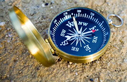 A magnetic compass