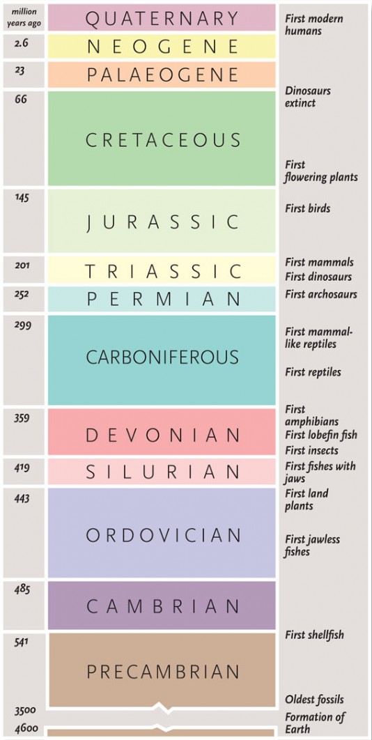 A chart showing geological periods