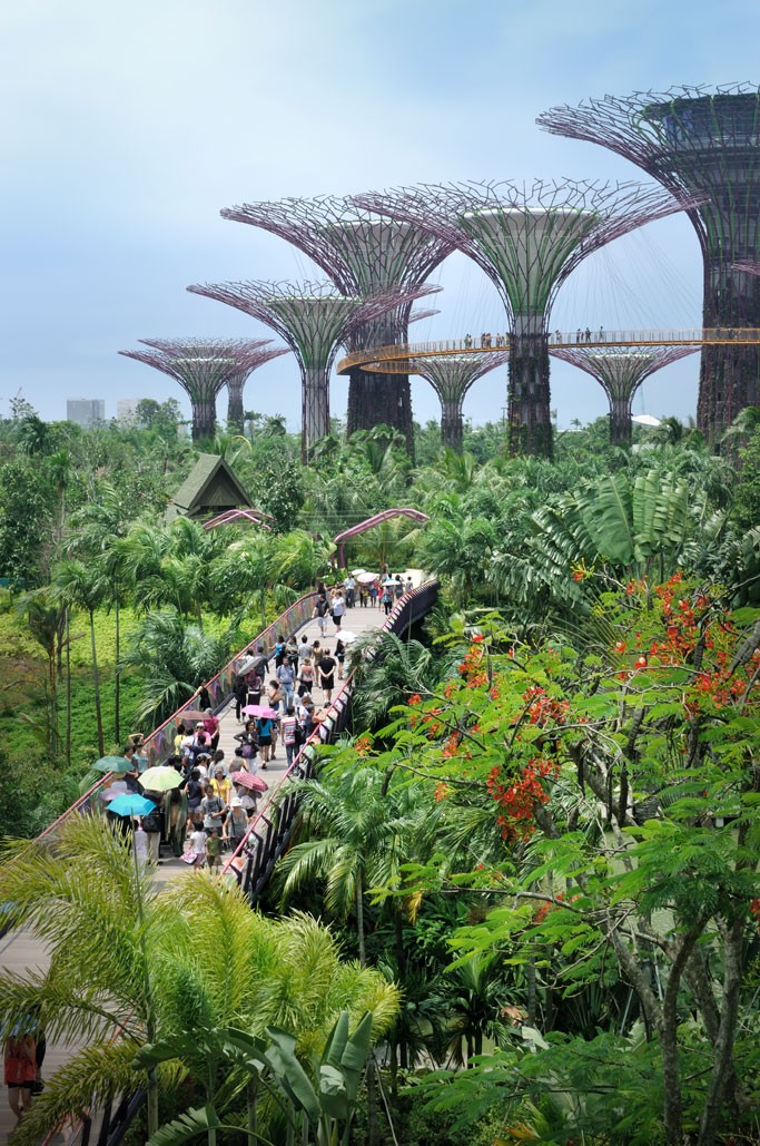 Supertrees, Gardens by the Bay, Singapore