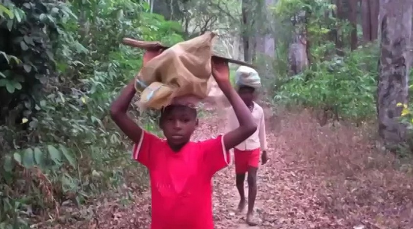 Welcome to Cameroon