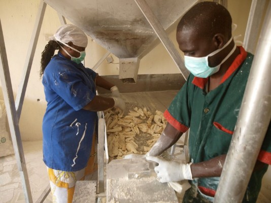 Cassava processing