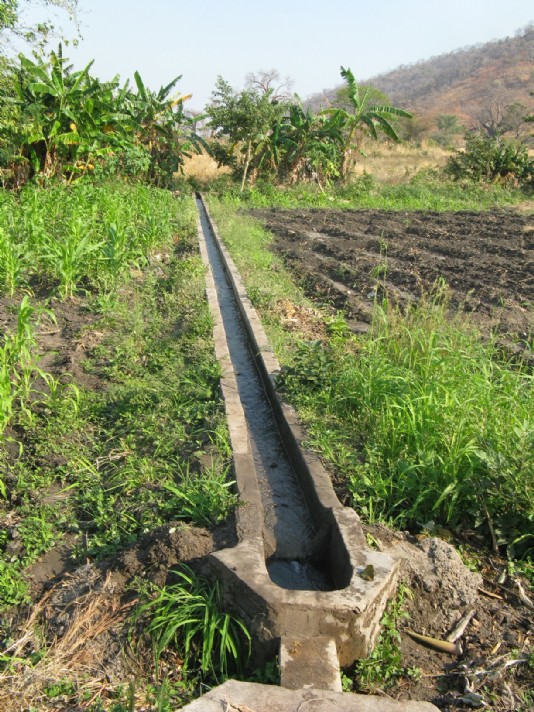 An irrigation ditch supplies water to fields.