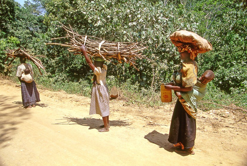 Carrying firewood and farm produce for sale
