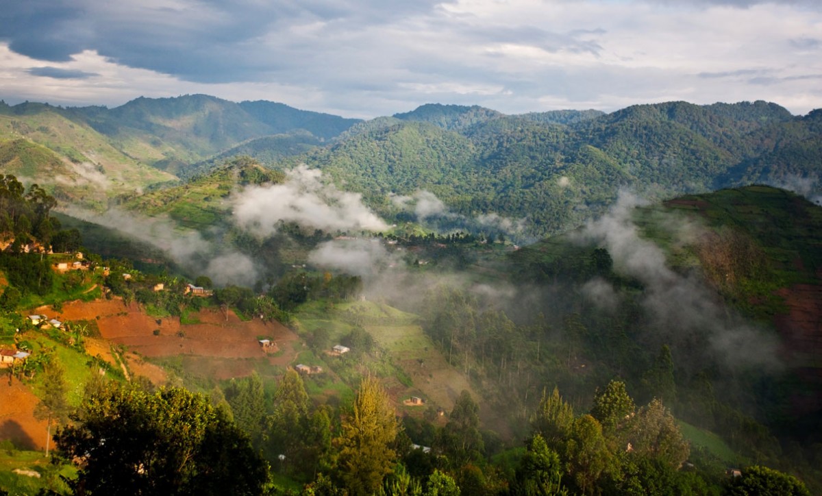 Bwindi National Park
