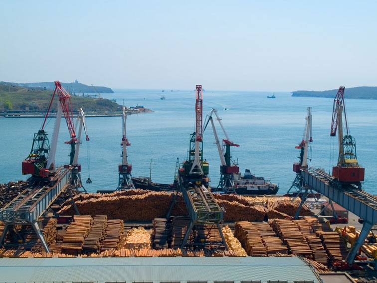 Loading a cargo ship with timber, Vladivostok
