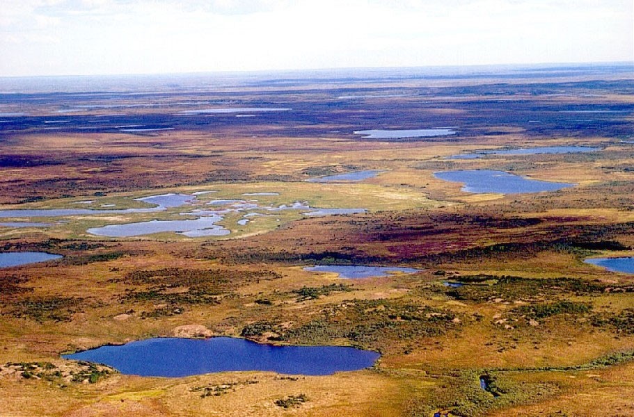 The Siberian tundra