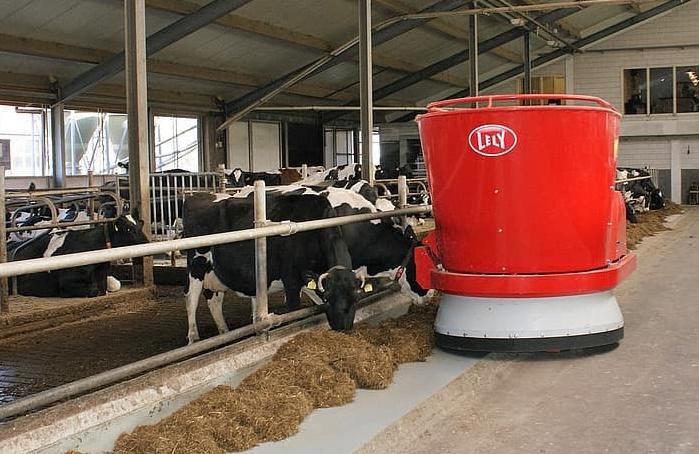 Robotic cattle feeder