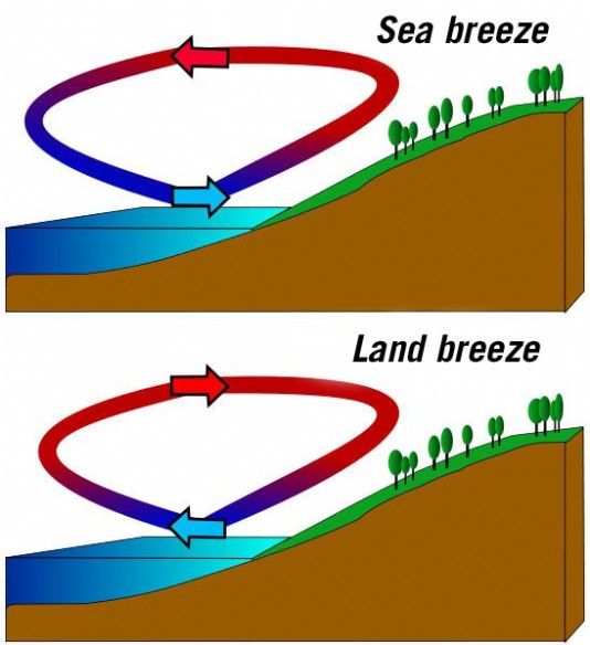 Sea breezes and land breezes