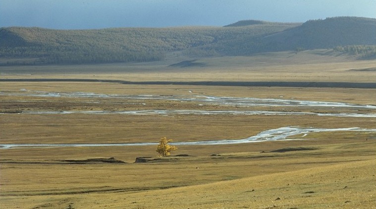 Steppe grasslands in eastern Mongolia
