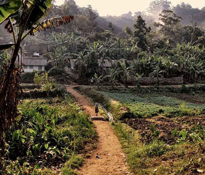 Farm in Lushoto, near Tanga