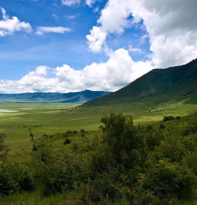 Inside the Ngorongoro Crater