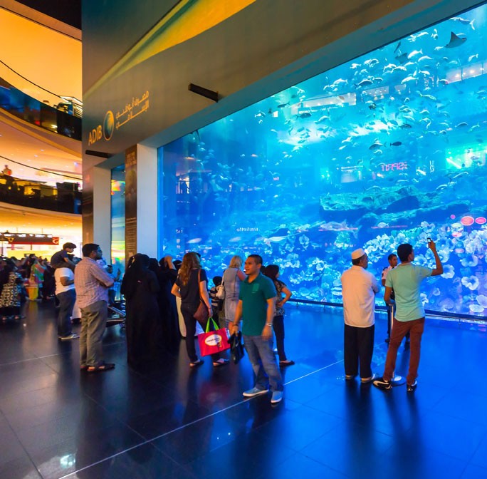 Visitors at the Oceanarium inside Dubai Mall