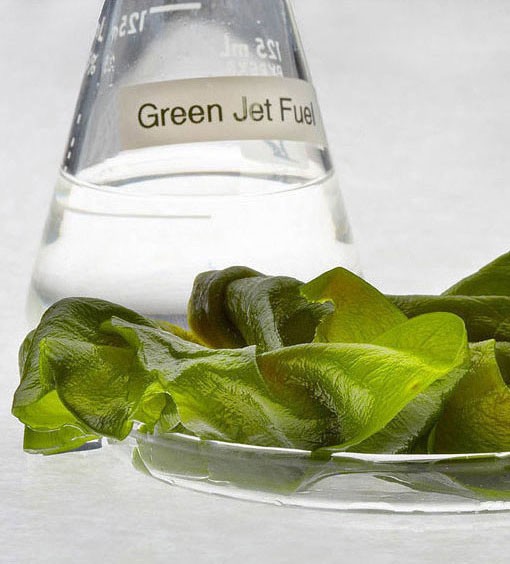 Jet fuel made from algae