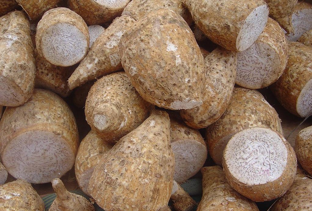 Taro corms in a Réunion market