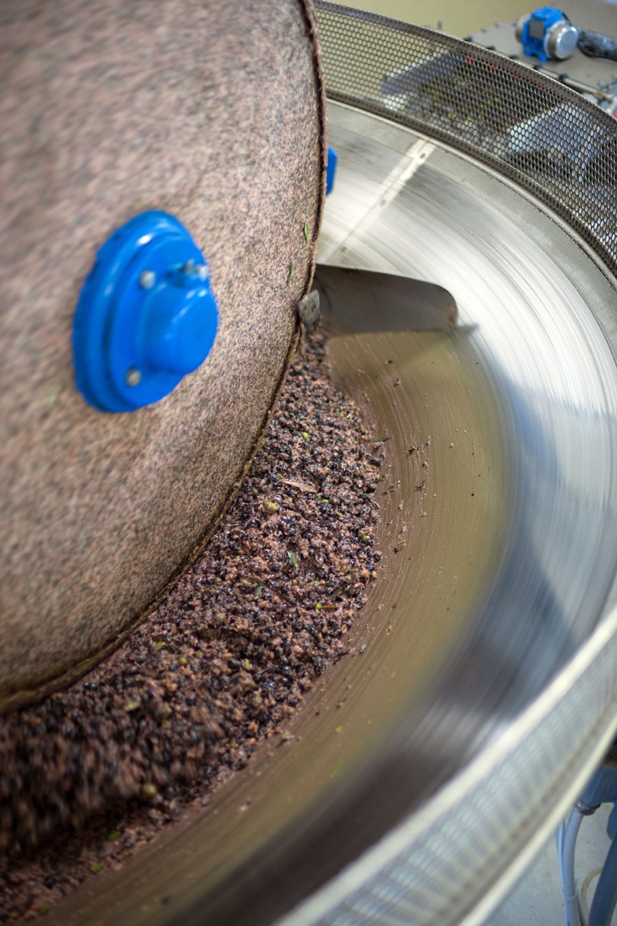 Olives are pressed for their oil.
