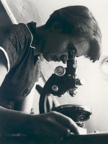 Rosalind Franklin in 1955