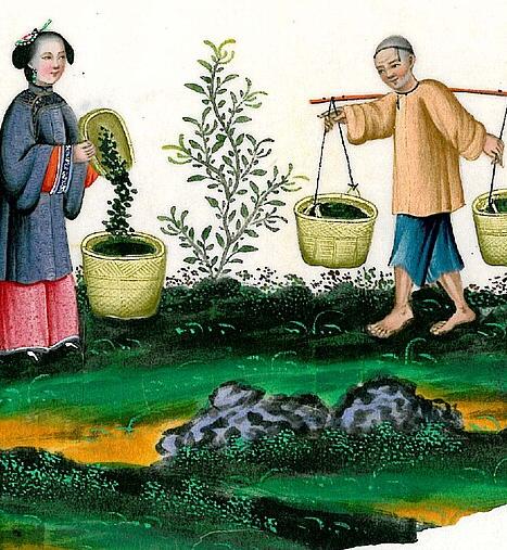 Chinese workers making silk